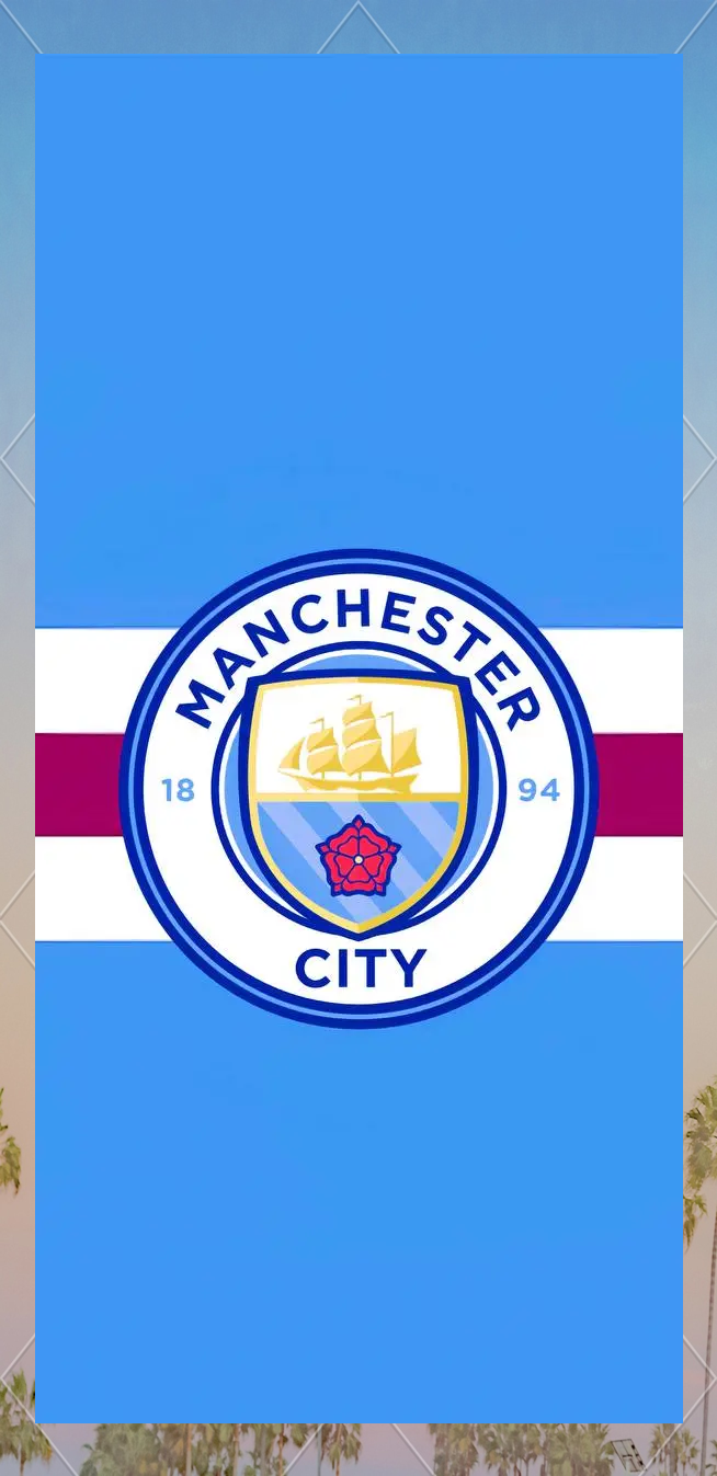 中超球队阵容分析：武汉三镇近期变化,